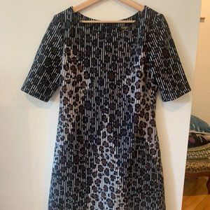 Taylor Striped Leopard Print Scuba Flare Dress - Size 10
